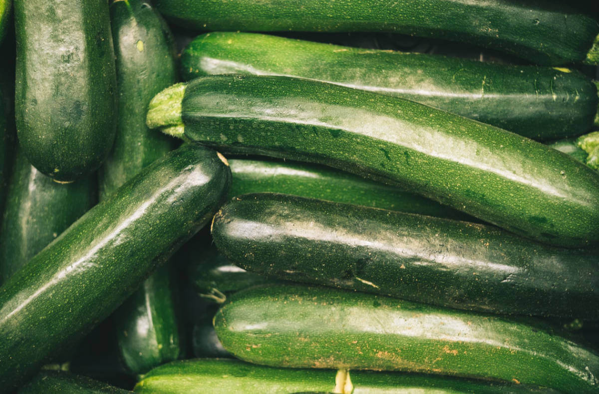 In diesem Artikel zeigen wir Ihnen, was der Unterschied zwischen Gurken und Zucchini ist. (Früchte, Blüten, Blätter etc.)